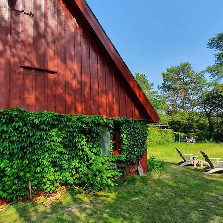 Pommernhaus Urgemuetlicher Roter Schwede Ahlbeck (Vorpommern-Greifswald)