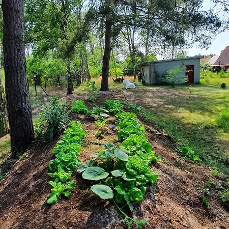 בית נופש Pommernhaus Urgemuetlicher Roter Schwede Ahlbeck (Vorpommern-Greifswald)