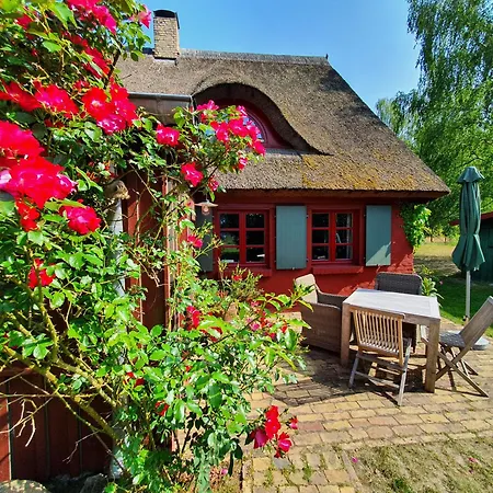 בית נופש Pommernhaus Urgemuetlicher Roter Schwede Ahlbeck (Vorpommern-Greifswald)